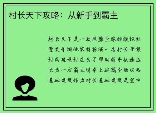 村长天下攻略：从新手到霸主